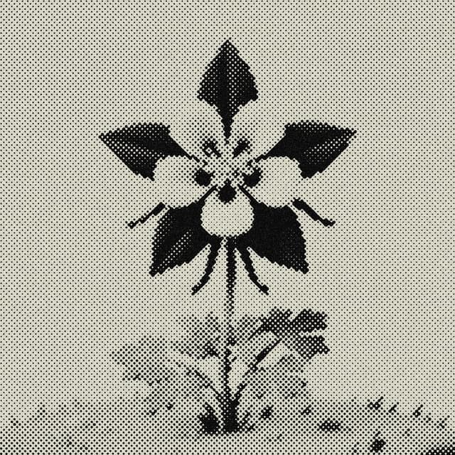 Halftone print of a Rocky Mountain columbine, Colorado's state flower